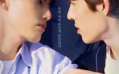 2022年韩国爱情同性电视剧《为你绽放》全11集高清韩语中字