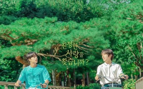2023年韩国爱情同性电视剧《爱情伴侣》全8集高清韩语中字