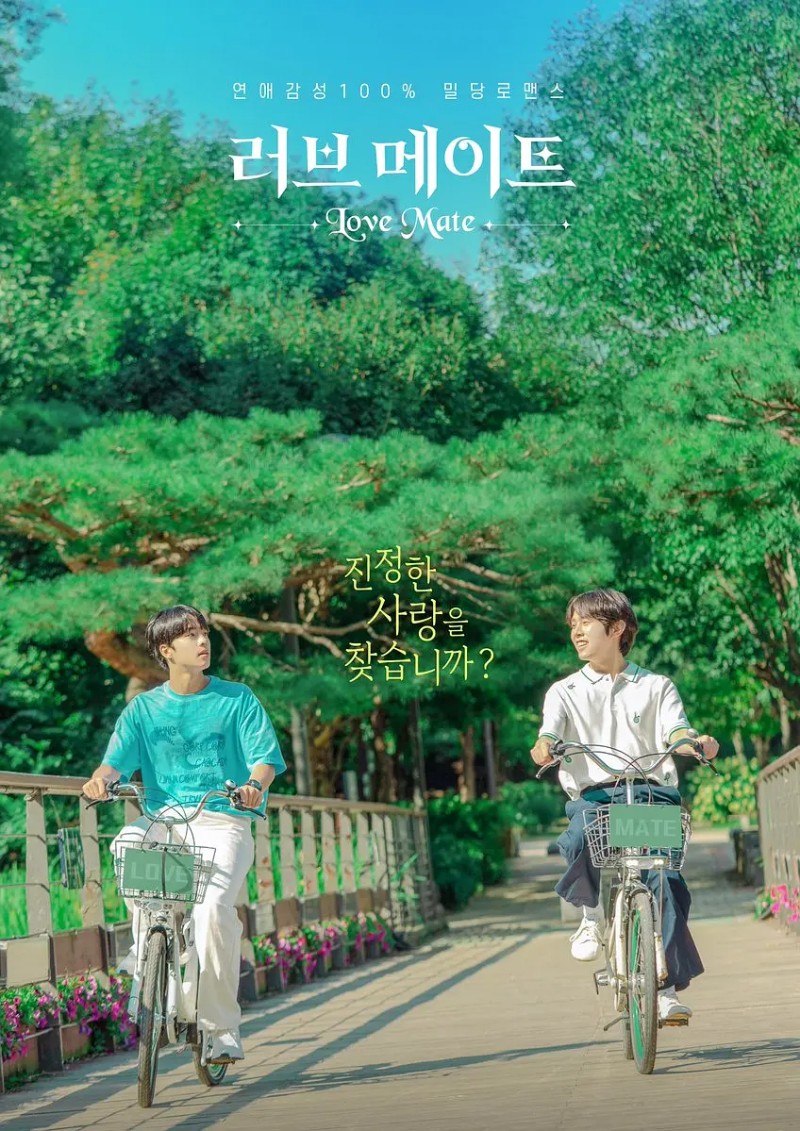 2023年韩国爱情同性电视剧《爱情伴侣》全8集高清韩语中字
