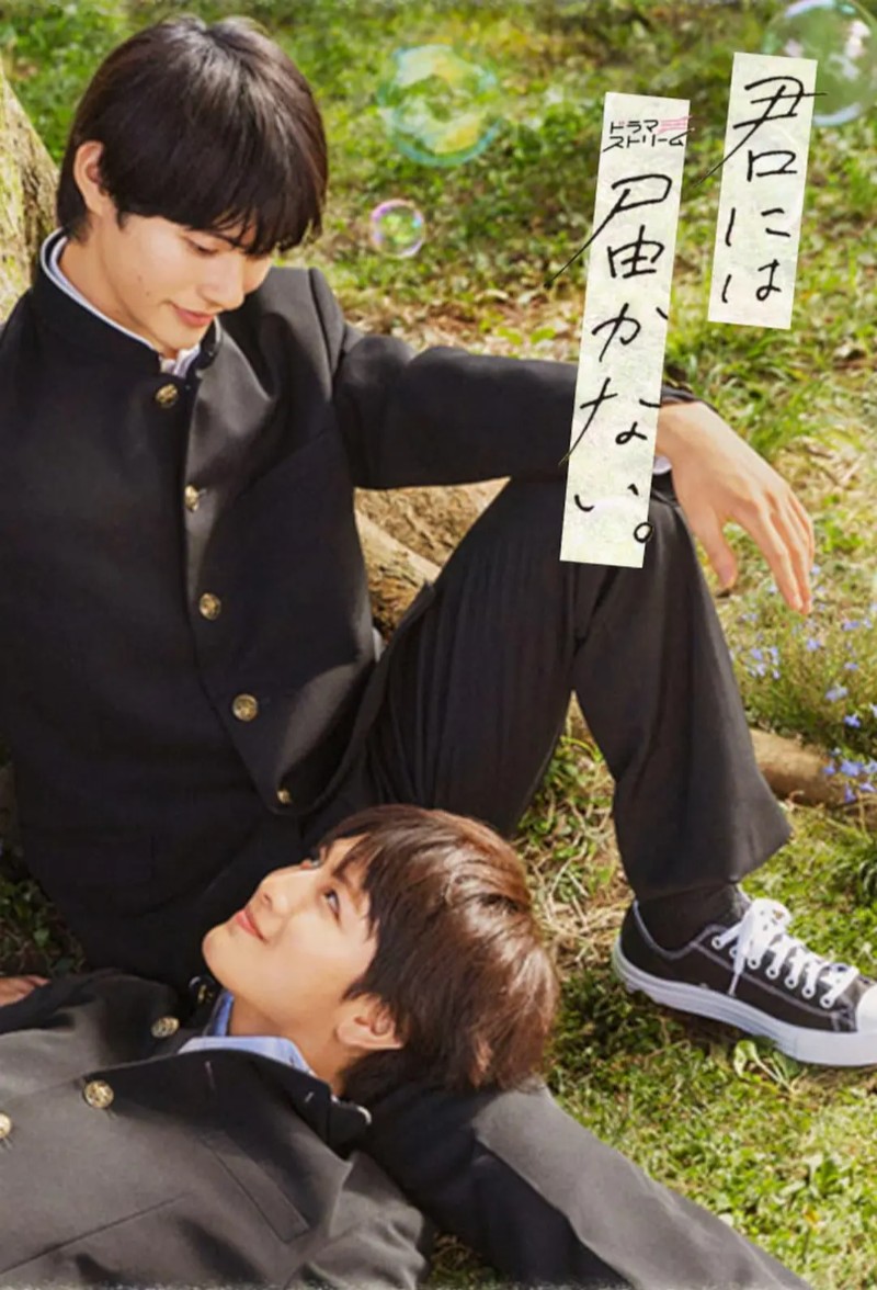 2023年日本爱情同性电视剧《无法传达给你》全8集高清日语中字